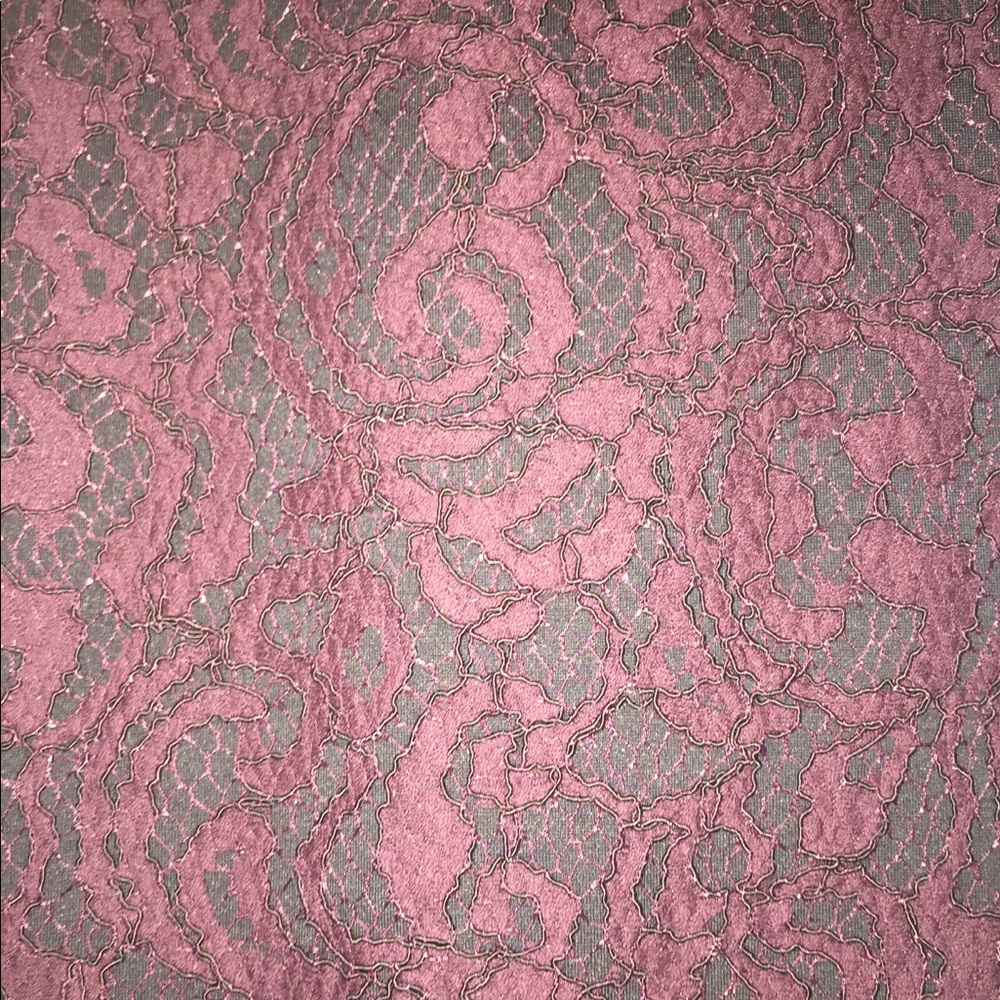 ANN TAYLOR LOFT PENCIL SKIRT w/ LACE OVERLAY- EUC - Picture 3 of 8